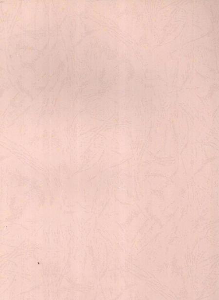 郴州年鉴2009.pdf电子版_湖南省志插图3