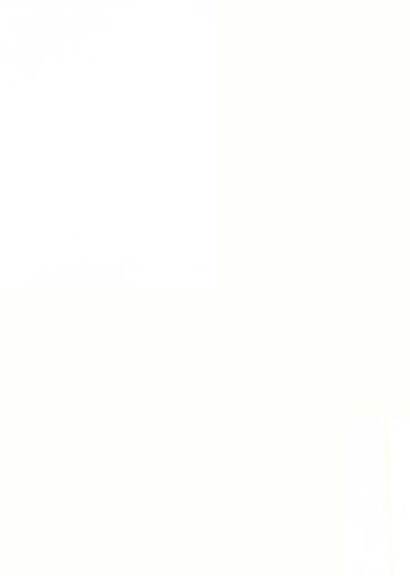 郴州金石录.pdf电子版_湖南省志插图3