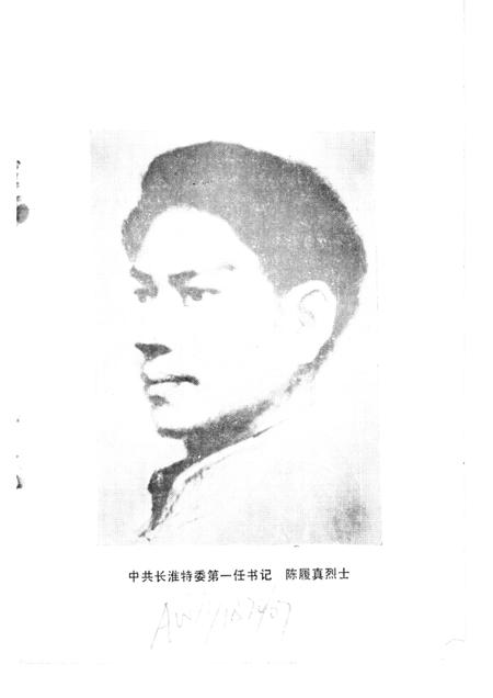 蚌埠党史资料  第4辑.pdf电子版_安徽省志插图3