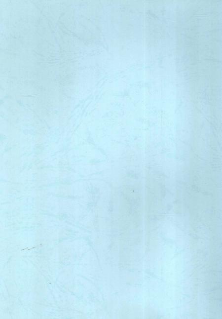 铁道部第五工程局第五工程处志 1974-1999.pdf电子版_贵州省志插图3