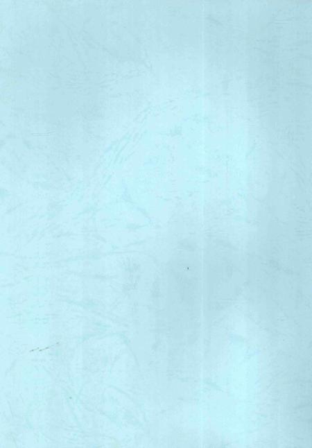 铁道部第五工程局第五工程处志-1974-1999-nan-nan.pdf电子版_其他志插图3