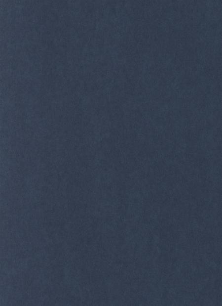 防城港公安志.pdf电子版_广西壮族自治区志插图3