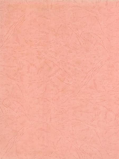 防城港市纪事：1968-2003.pdf电子版_广西壮族自治区志插图3