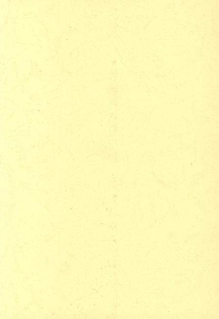 防城港文化遗产从书.历文化遗产部分.pdf电子版_广西壮族自治区志插图3