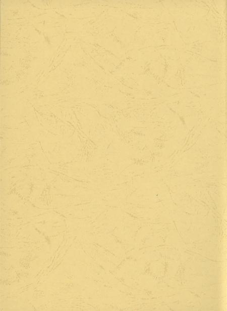 东兴市水利电力志.pdf电子版_广西壮族自治区志插图3