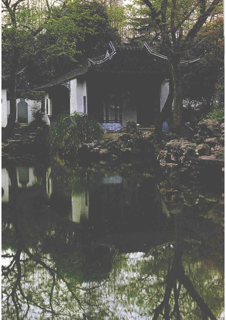 2004-嘉定文史资料专辑  2  嘉定鉴赏石选.pdf电子版_上海市志插图3