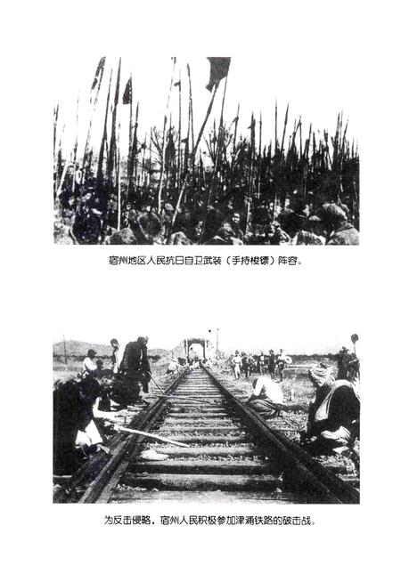 2005版抗战在宿州.pdf电子版_安徽省志插图3