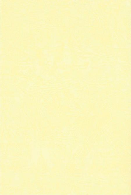 三八五旅在庆阳(上).pdf电子版_甘肃省志插图3