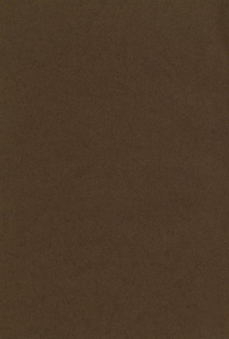 庆阳援西军——红军的一只特殊部队.pdf电子版_甘肃省志插图3