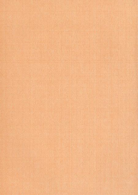 新晃侗族自治县人口和计划生育志.pdf电子版_湖南省志插图3