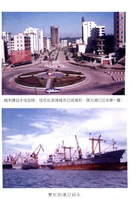 正在崛起的防城港市港口区.pdf电子版_广西壮族自治区志插图3