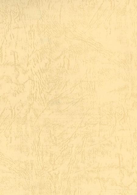 武警阿坝州支队志.pdf电子版_四川省志插图3