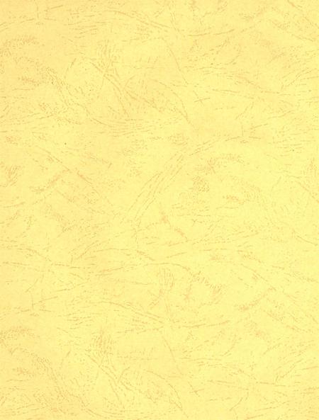 沧州教育局年鉴 2009卷.pdf电子版_河北省志插图3