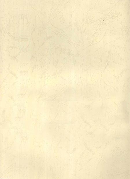 郴州年鉴2008.pdf电子版_湖南省志插图3