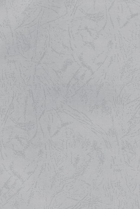 驰骋四海资兴人.pdf电子版_湖南省志插图3