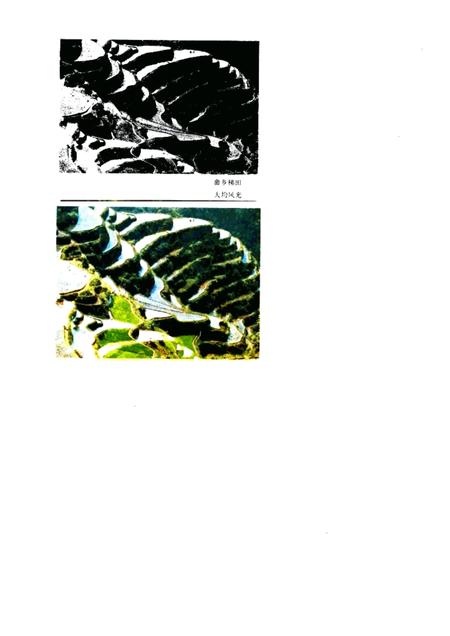 1986-景宁畲族自治县概况.pdf电子版_浙江省志插图3