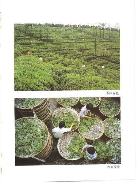 1989-嵊县志.pdf电子版_浙江省志插图3