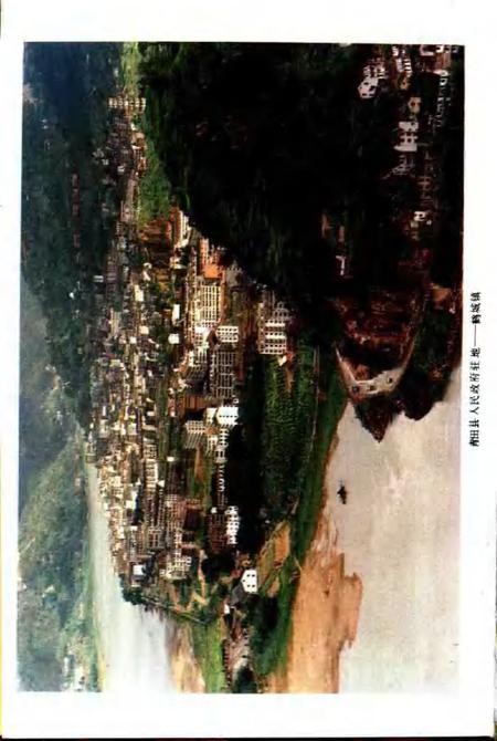 1992-青田县交通志.pdf电子版_浙江省志插图3