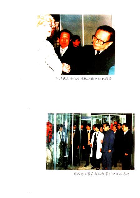 1994-椒江市对外经济贸易志.pdf电子版_浙江省志插图3