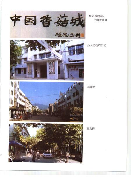 1996-庆元县志.pdf电子版_浙江省志插图3