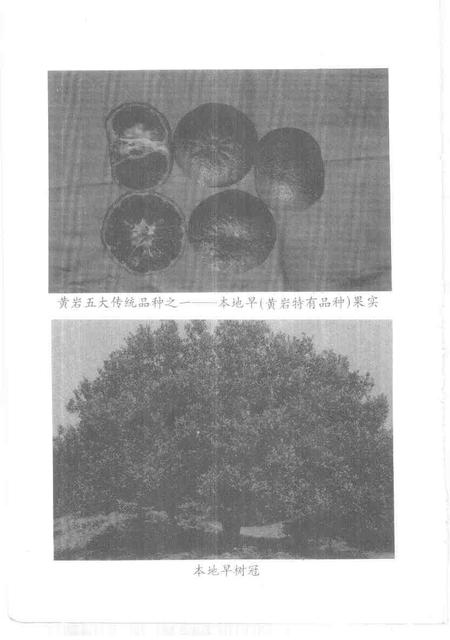 1997-台州文史资料.pdf电子版_浙江省志插图3