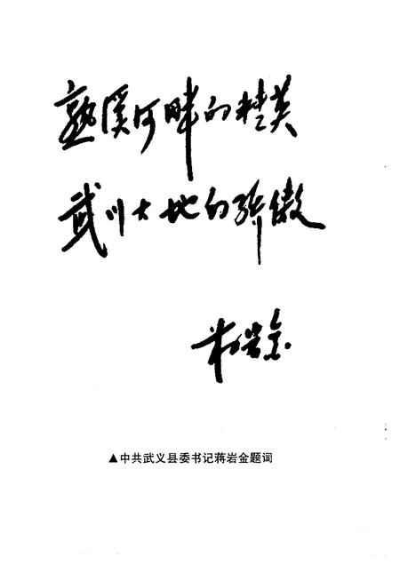 1998-武义文史资料  第5辑  武义之骄-县外人物篇.pdf电子版_浙江省志插图3