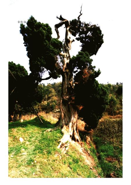 2005-宁海名人.pdf电子版_浙江省志插图3