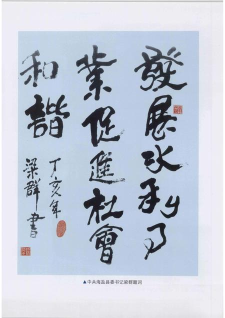 2008-海盐县水利志.pdf电子版_浙江省志插图3