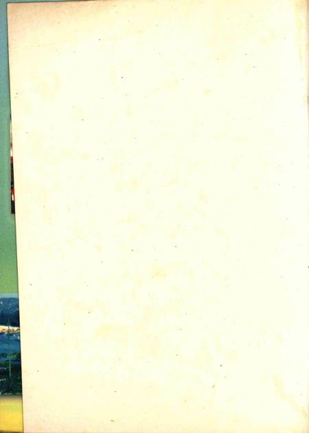 三亚大观.pdf电子版_海南省志插图3