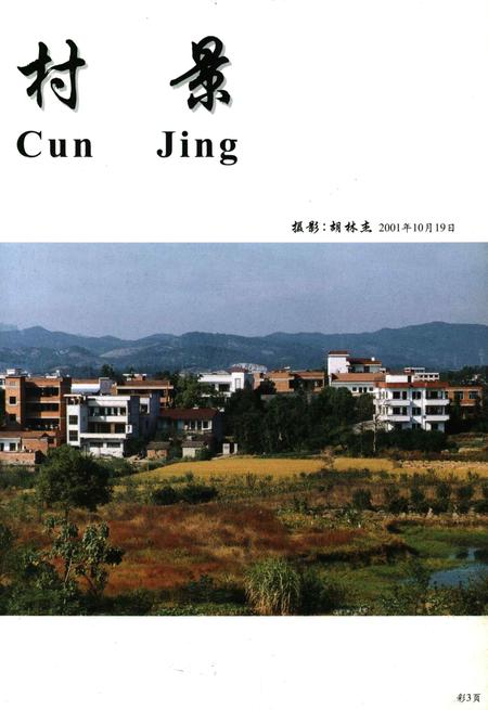 整雅志-浙江省永康市整雅村志编纂委员会 编-2001.11.pdf电子版_浙江省志插图3