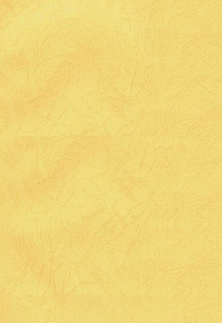 中共郴州市委执政纪事2016.pdf电子版_湖南省志插图3