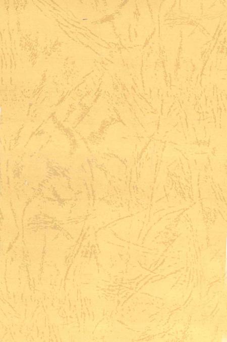 中国共产党安仁历史第一卷1921-1949.pdf电子版_湖南省志插图3