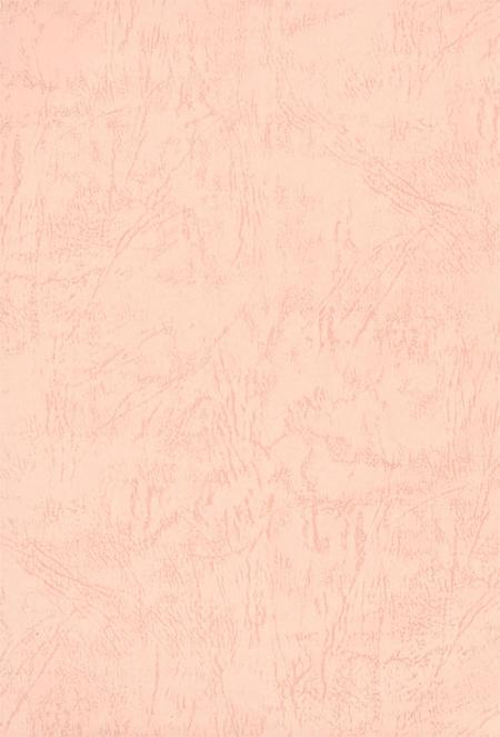 中国共产党湘潭历次代表大会资料简介.pdf电子版_湖南省志插图3