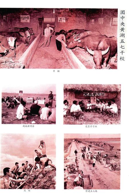 五七干校在信阳 信阳文史资料第九辑（上）.pdf电子版_河南省志插图4