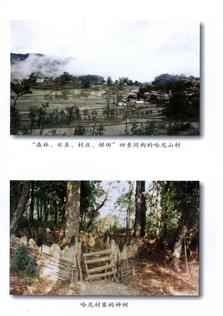 元阳文史资料选辑（第四辑）.pdf电子版_云南省志插图4