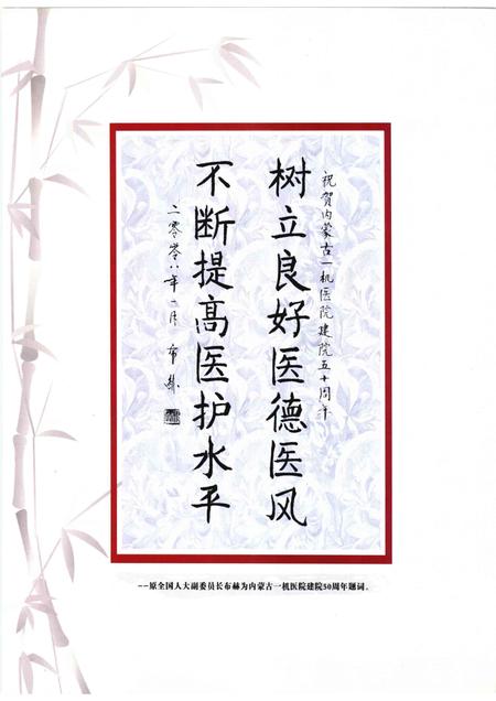 内蒙古一机医院志（内蒙古医学院第四附属医院志）  1958-2008.pdf电子版_内蒙古自治区志插图4