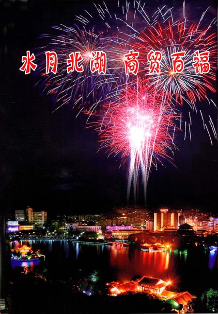 北湖年鉴 2010.pdf电子版_湖南省志插图4