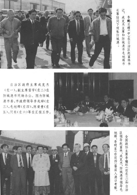 可爱的防城港市.pdf电子版_广西壮族自治区志插图4