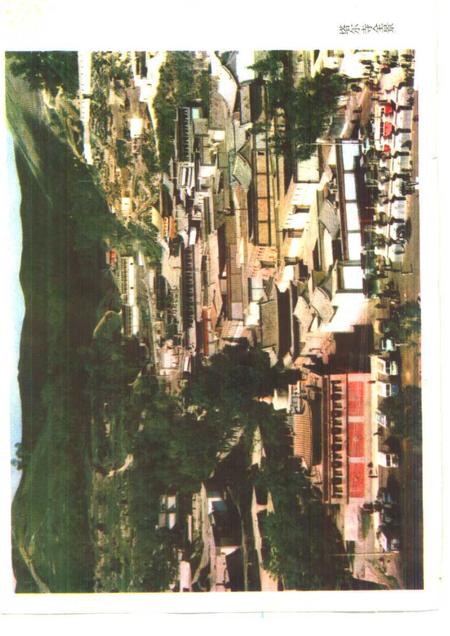 塔尔寺志.pdf电子版_青海省志插图4