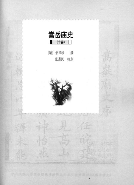 嵩岳文献丛刊（第四册）.pdf电子版_河南省志插图4