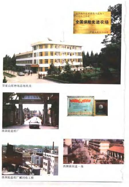 常德地区志  国营农场志.pdf电子版_湖南省志插图4