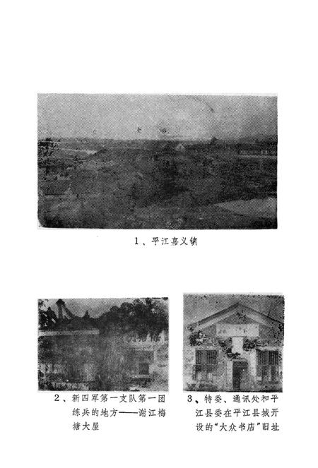 平江惨案资料汇编.pdf电子版_湖南省志插图4