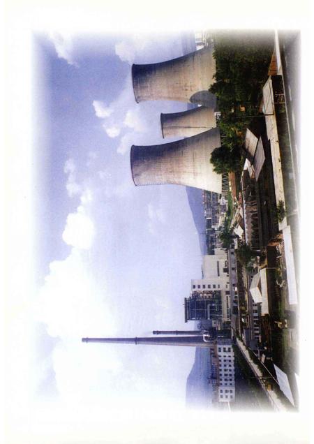 平顶山电厂志  1955-2001.pdf电子版_河南省志插图4