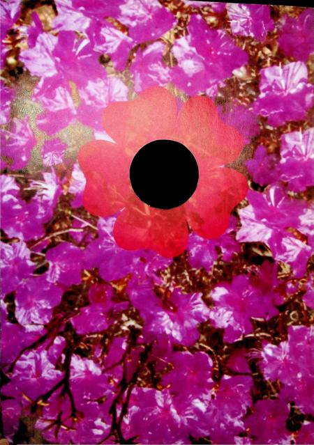 延边歌舞团60周年.pdf电子版_吉林省志插图4