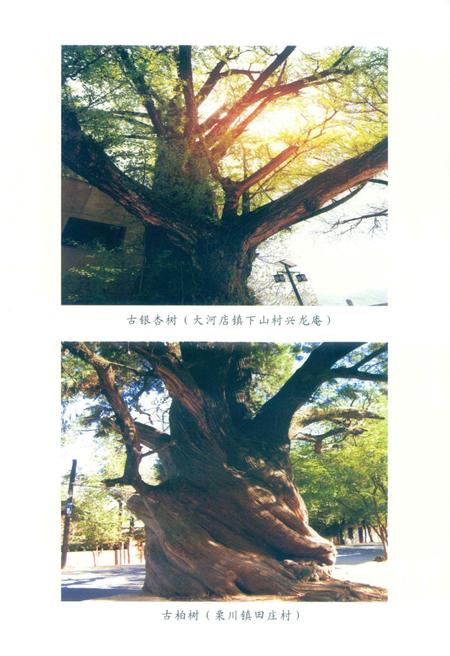 徽县文史资料第39期.pdf电子版_甘肃省志插图4