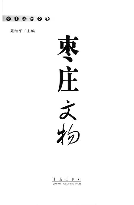 枣庄运河文化——枣庄文物.pdf电子版_山东省志插图4