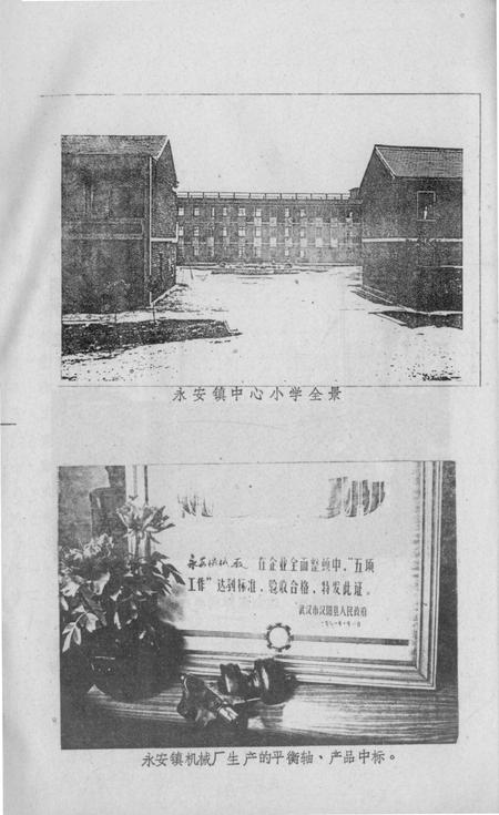 永安镇志.pdf电子版_湖北省志插图4