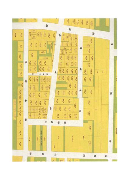 沈庄村志家谱.pdf电子版_河南省志插图4