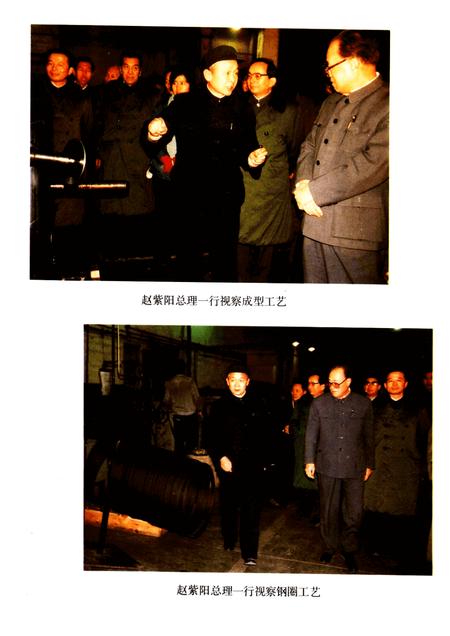 河南轮胎厂志  1965-1985.pdf电子版_河南省志插图4