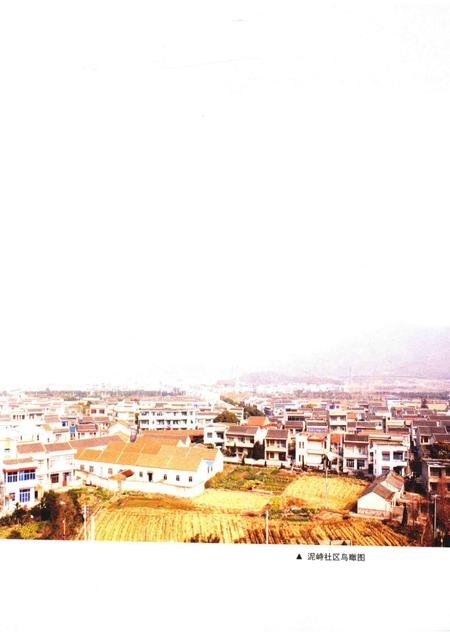 泥峙村志.pdf电子版_浙江省志插图4